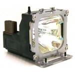    InFocus LP800 ( SP-LAMP-010 )