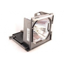    InFocus LP810 ( SP-LAMP-011 )